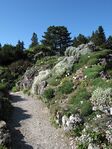 Alpinum