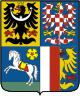 Shield decorated like the flag