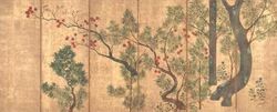 Black Pines and Maple Tree (Important Cultural Property)