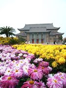Henan University