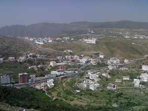 مدينة الباحة