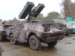 SA-9 Gaskin.JPG
